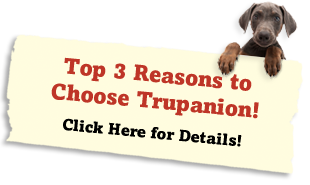 Top 3 Reasons to Choose Trupanion!