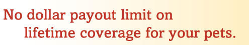 No payout limit