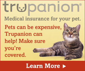 Learn More About Pet Insurance