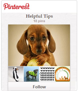 Pinterest Follow Trupanion on Pinterest