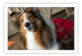 Photo of Holly