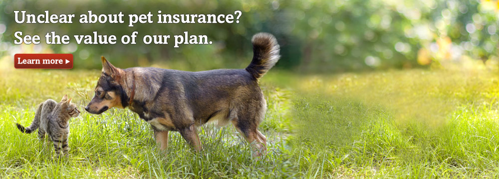 Dog and cat. See the value of Trupanion Pet Insurance.