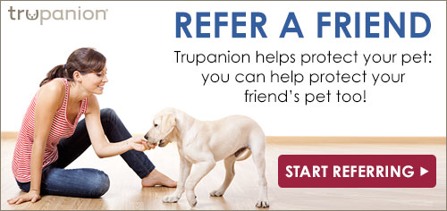 Refer a friend
